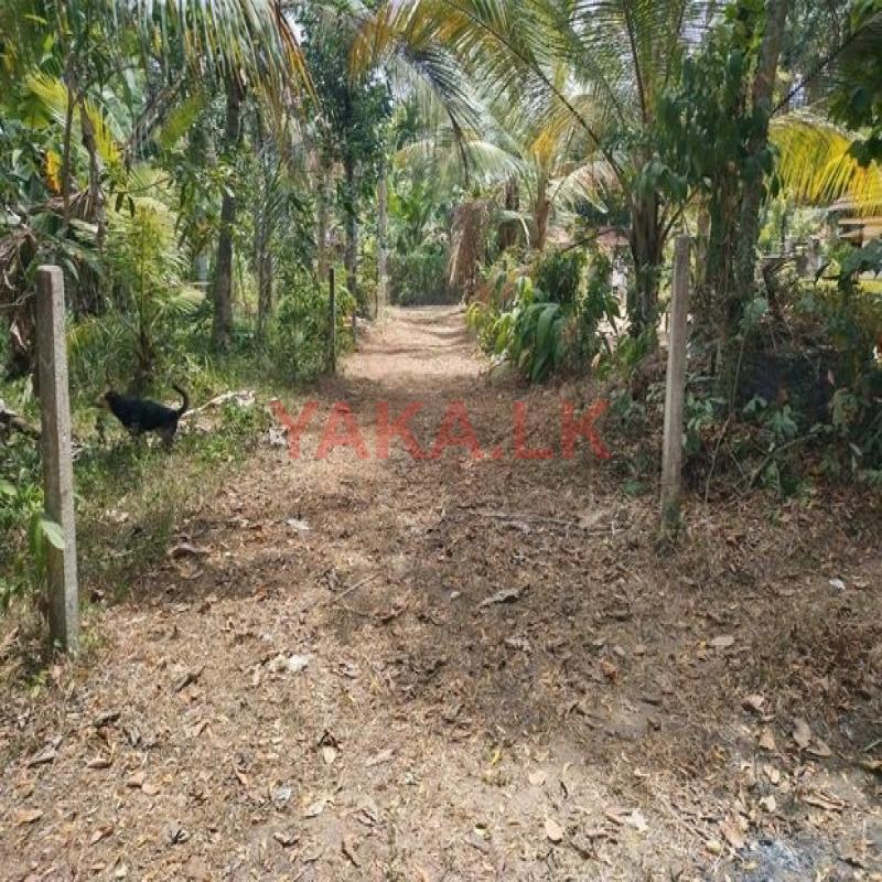 land for sale veyangoda