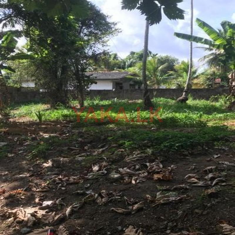 Residential Land for Sale in Kadawatha