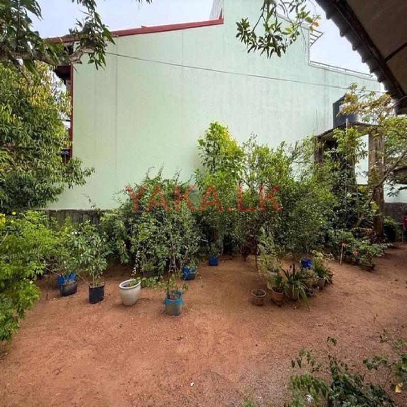 Land for sale in Nawala