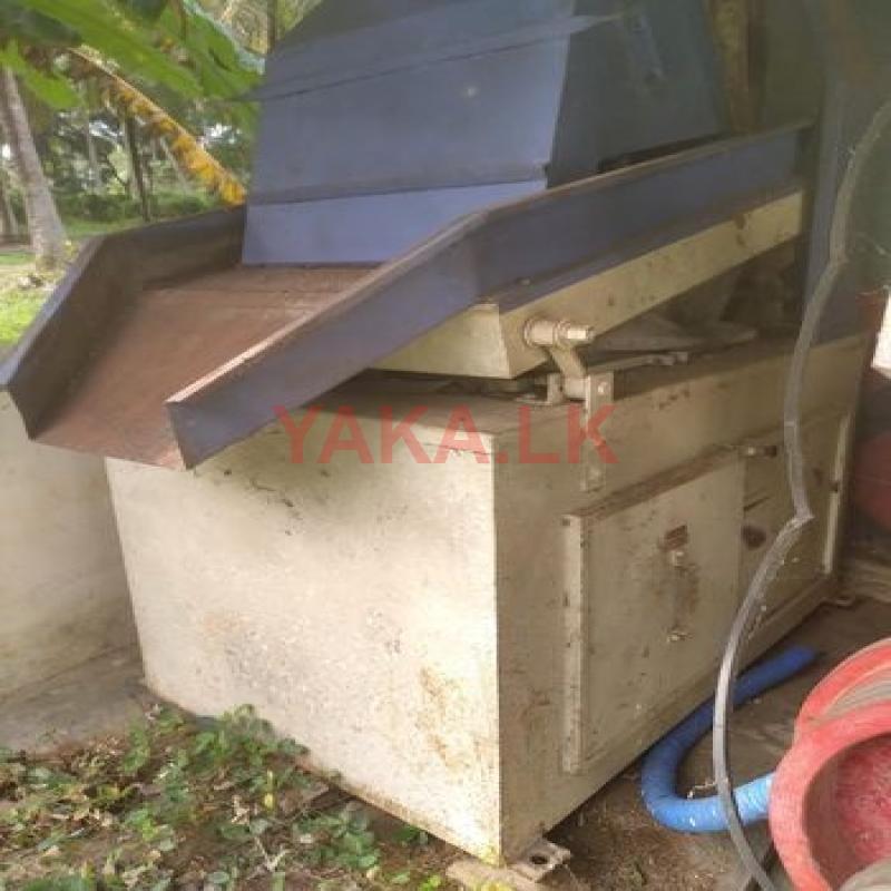 අංග සම්පූර්න වී මෝලක්