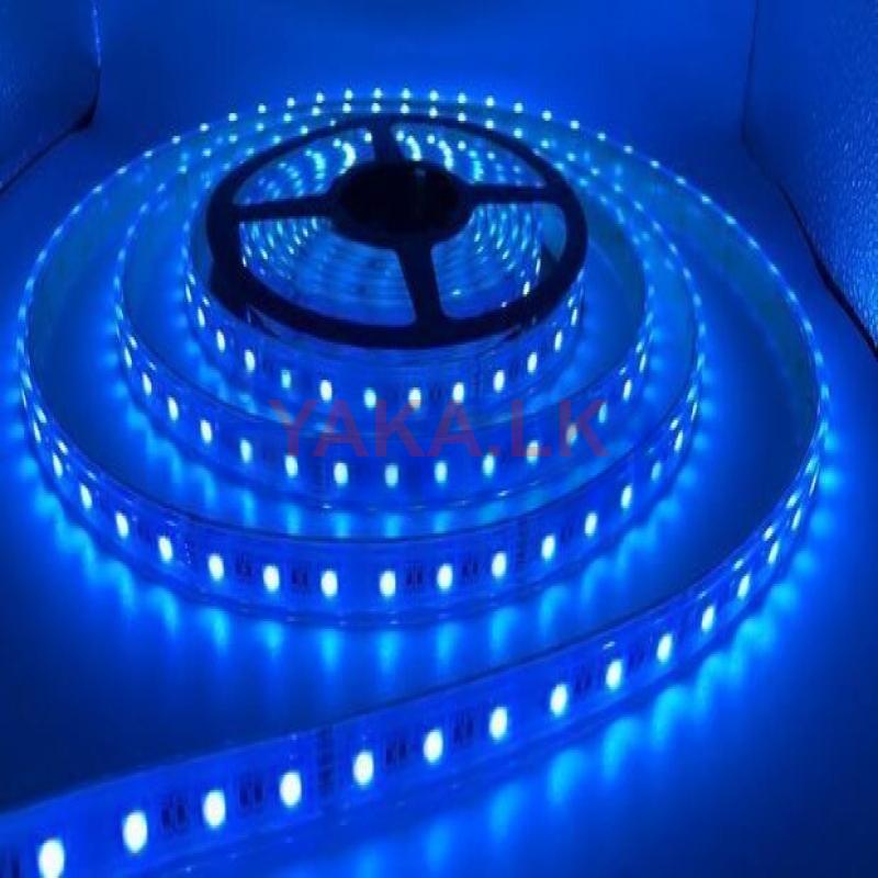 Multicolours Led Lights