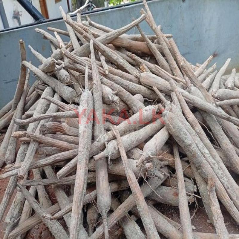 பனம்கிழங்கு