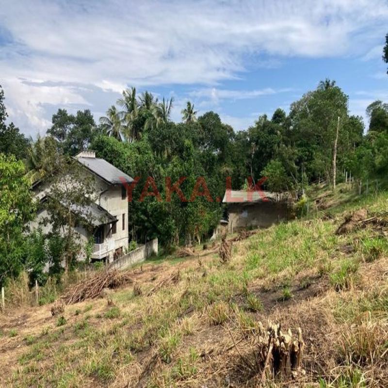 Beautiful land sale in Gurudeniya