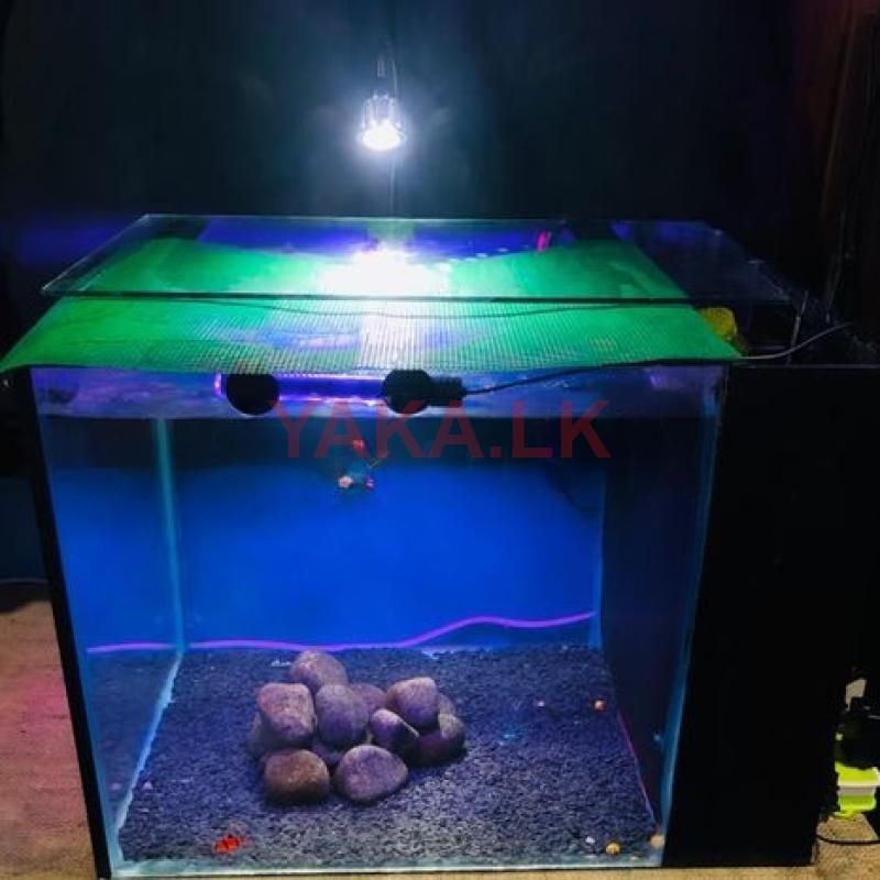 2*1.5 Feet Tank