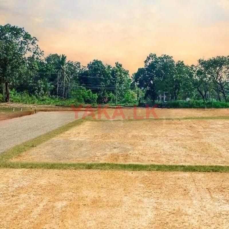 හොරණින් ඉඩමක්