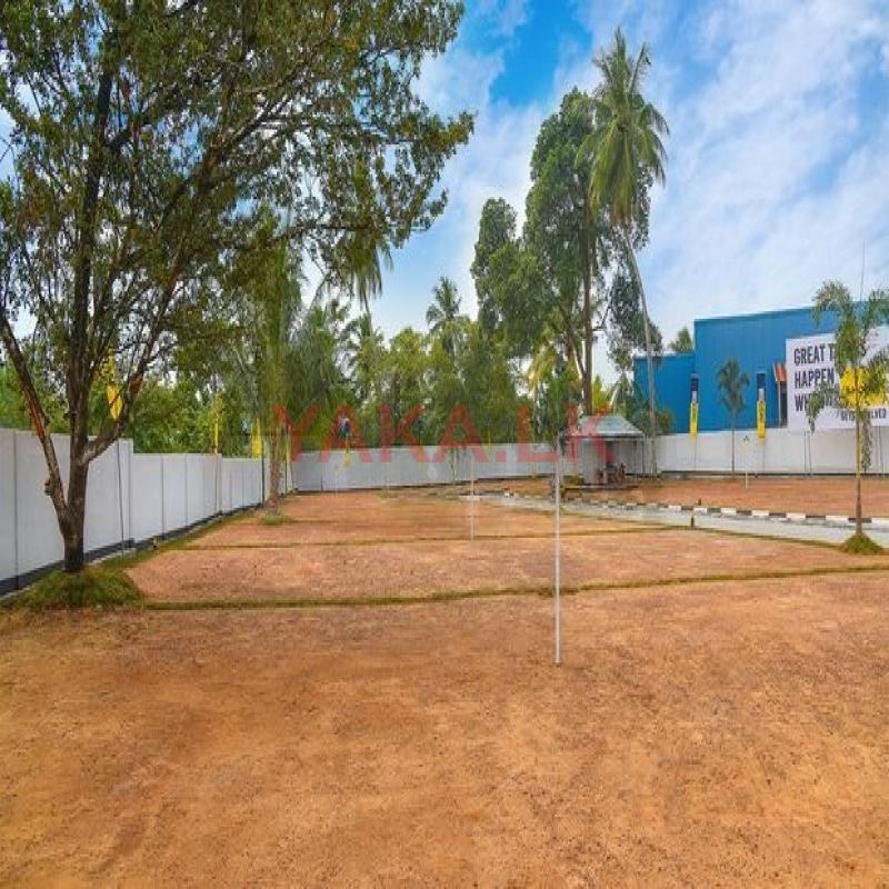 හෝමාගම පාරෙන් පර්චස් 6ක්