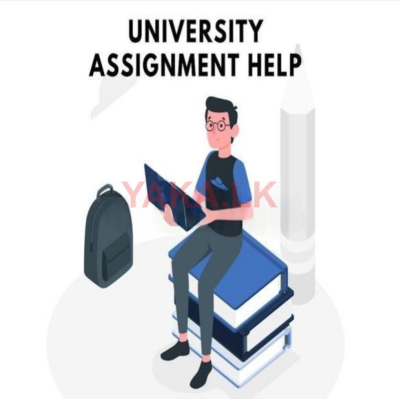 Assignment Dissertation Writing Help