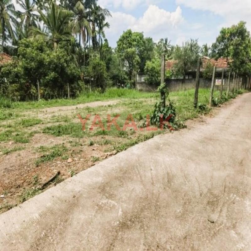 ලයිසියම් පාසලට ළගින් ඉඩමක්