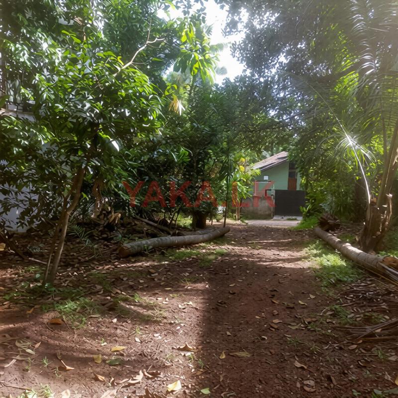 Block of Land for Sale Kelaniya