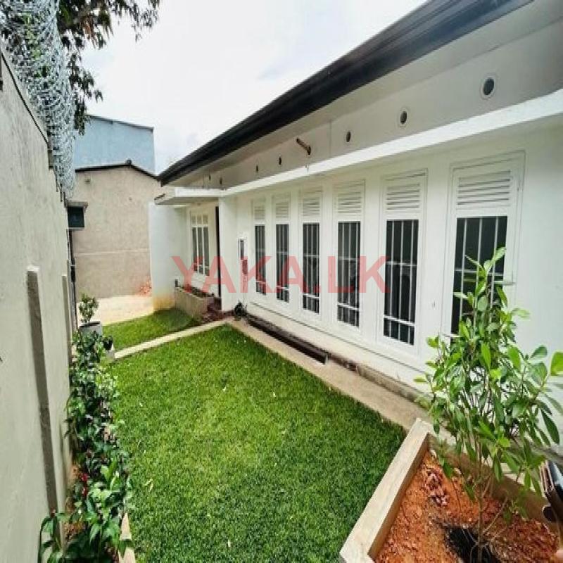(AF694) Single Story house for rent in Colombo 05.