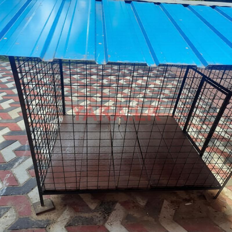 Dog Cage