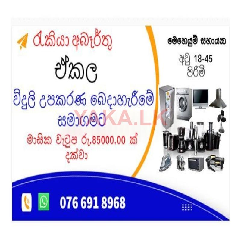 Operations Assistant - Ekala