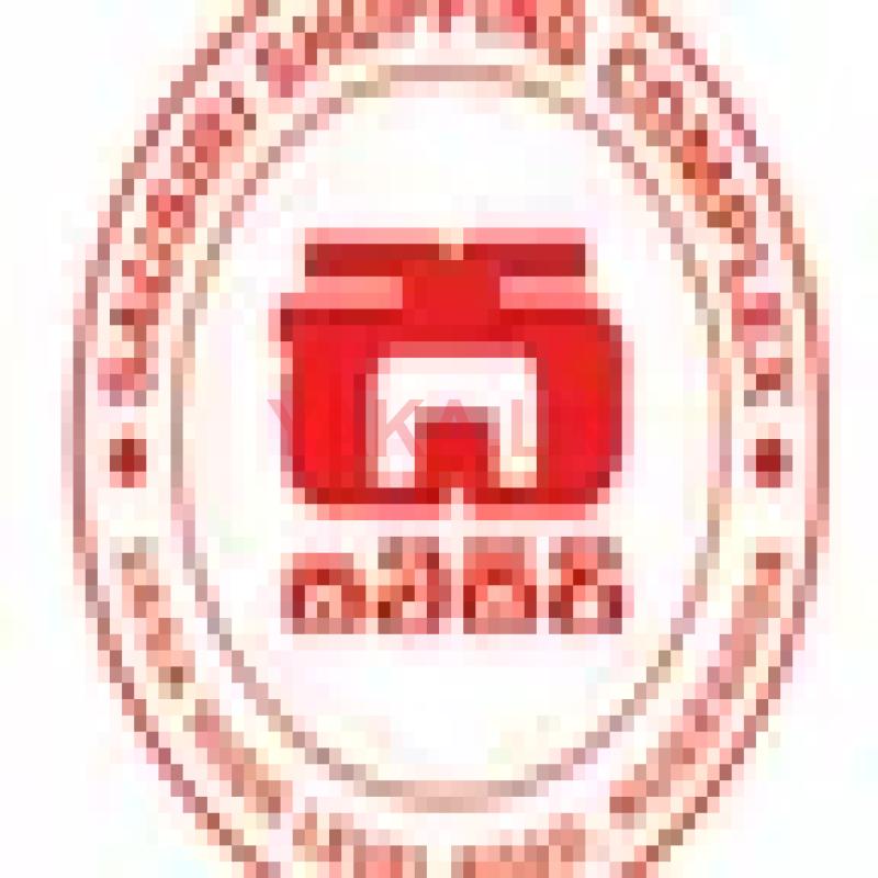 Showroom Sales Executive