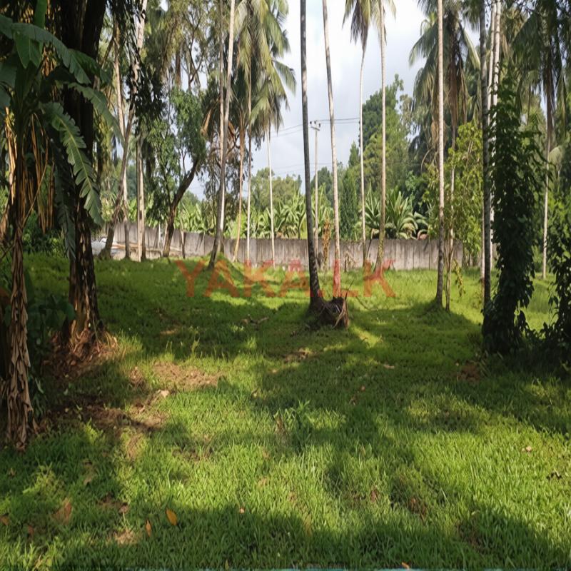 Land for Sale Dunagaha - Batepola