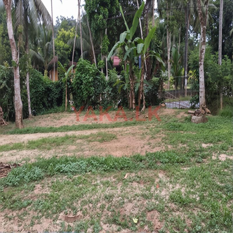 Land for Sale Ja - Ela