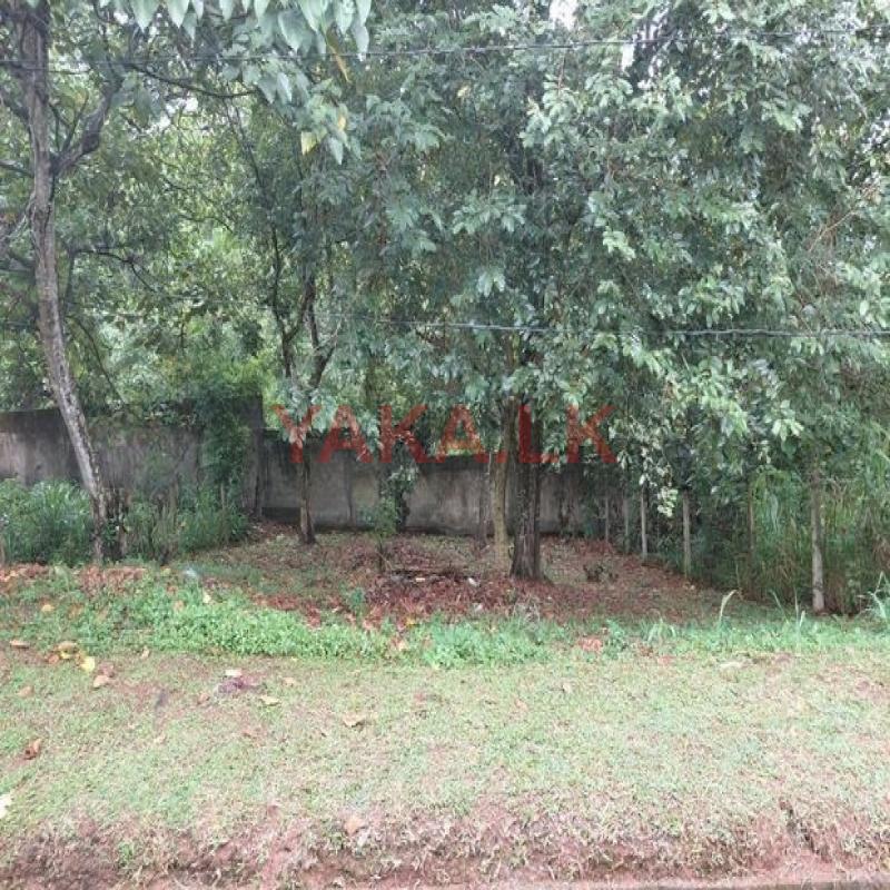 High Residential Land for Sale Talawathugoda