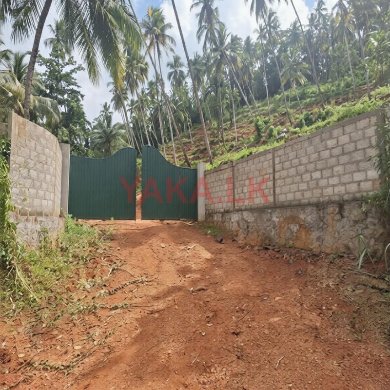 7 Acres Multipurpose Land is for sale in Mirigama.