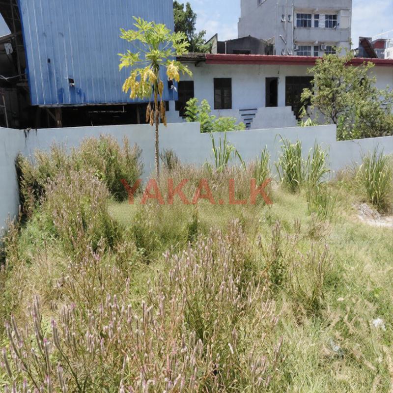 Residential Land for Sale Pitakotte