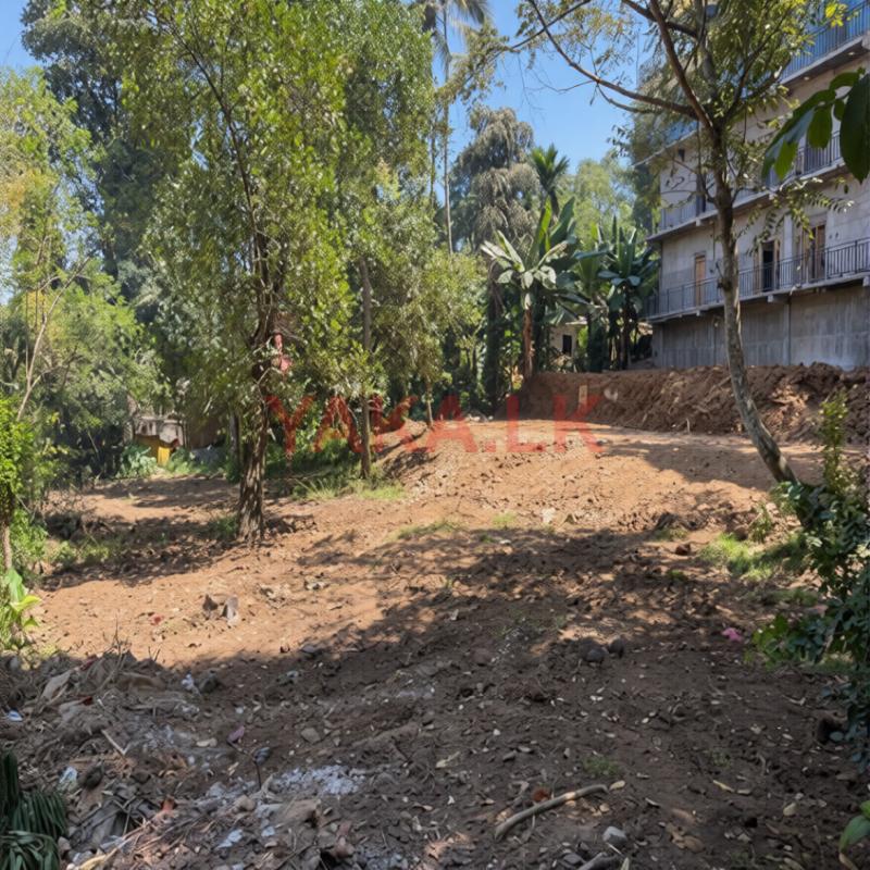 Land for Sale in Badulla