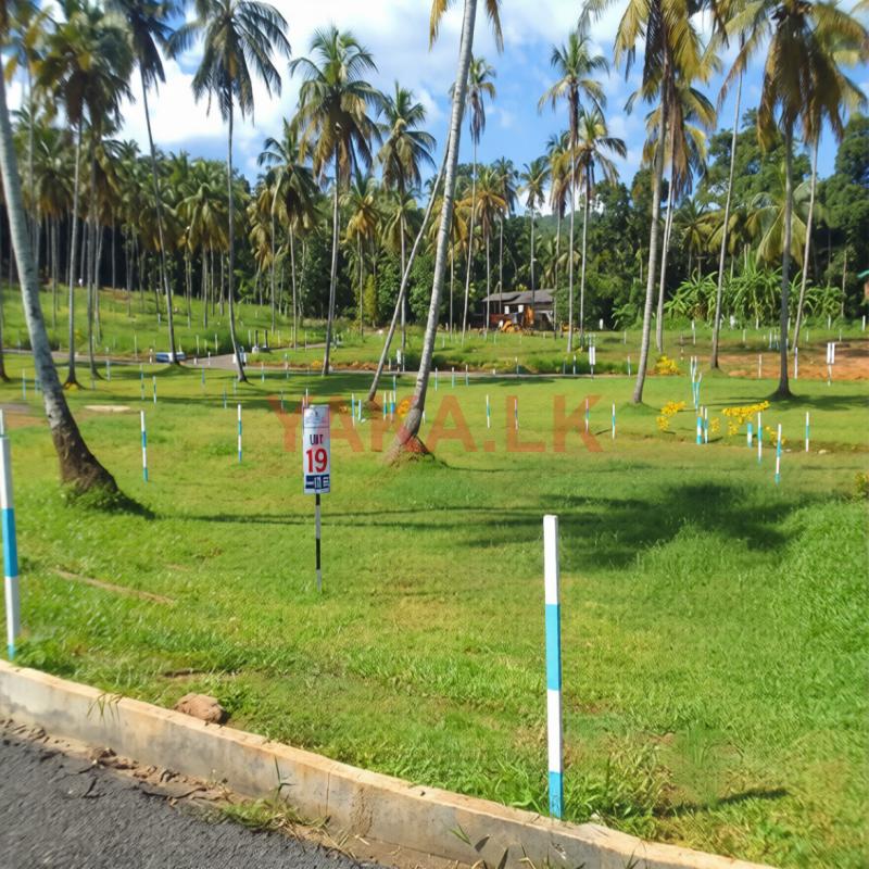 Commercial Land for Sale in Polgahawela D01