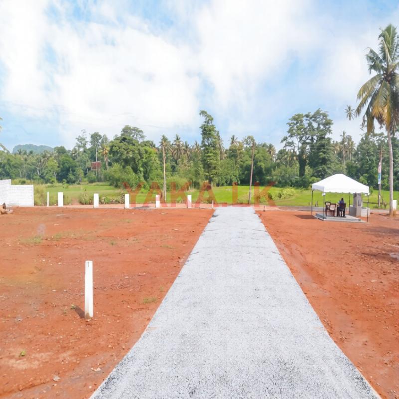 Super Land for Sale in Dabadeniya D03