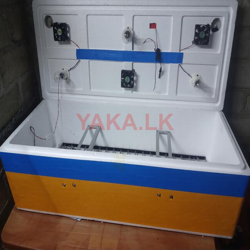 Egg Incubator