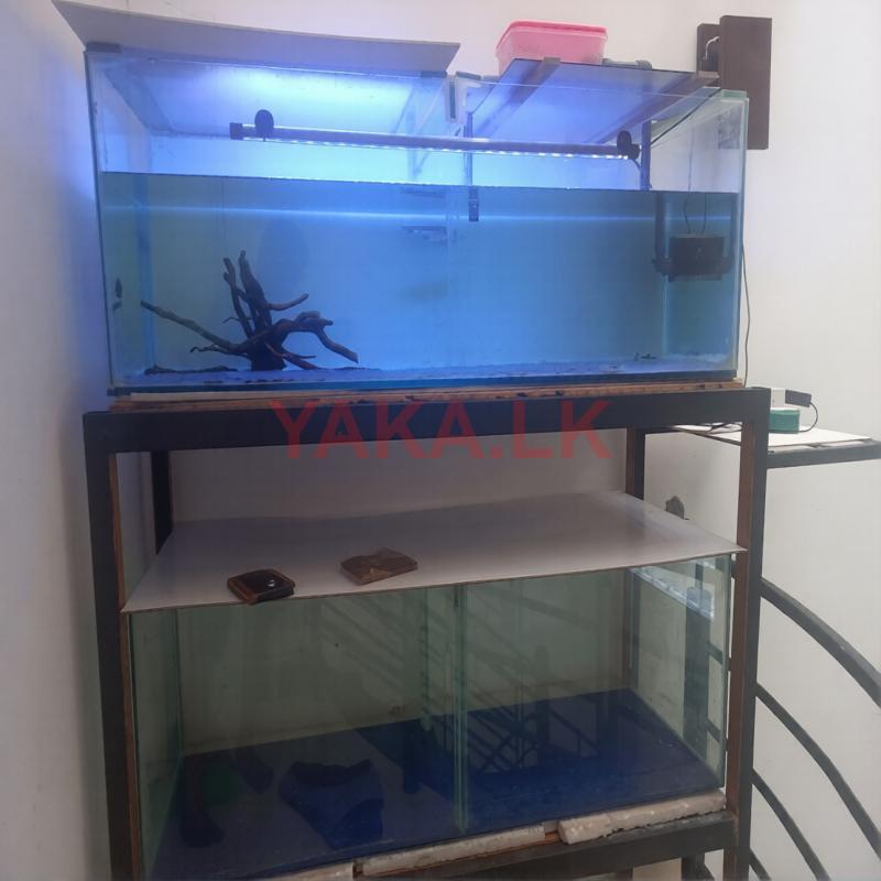 Fish Tank with Accessories