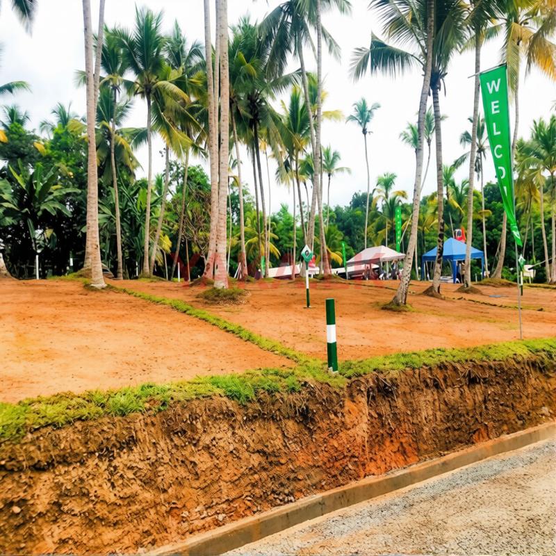 Best Residential Land Plots For Sale In Horana Near To Kubuka