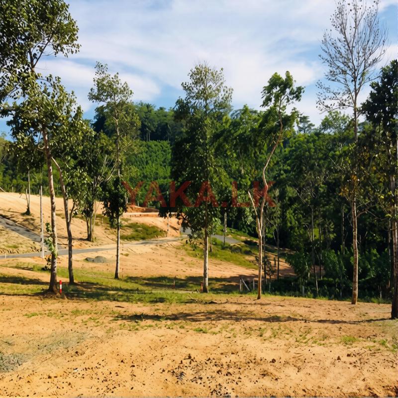 Galle – Imaduwa | Only 3 Land Plots Remaining!