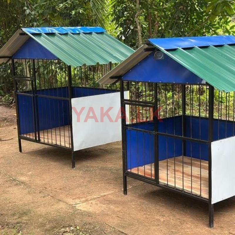 Dog Cages