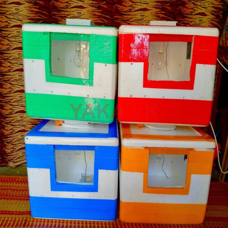 Egg Incubator