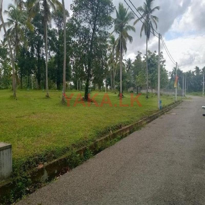 Land forsale in Walihinda