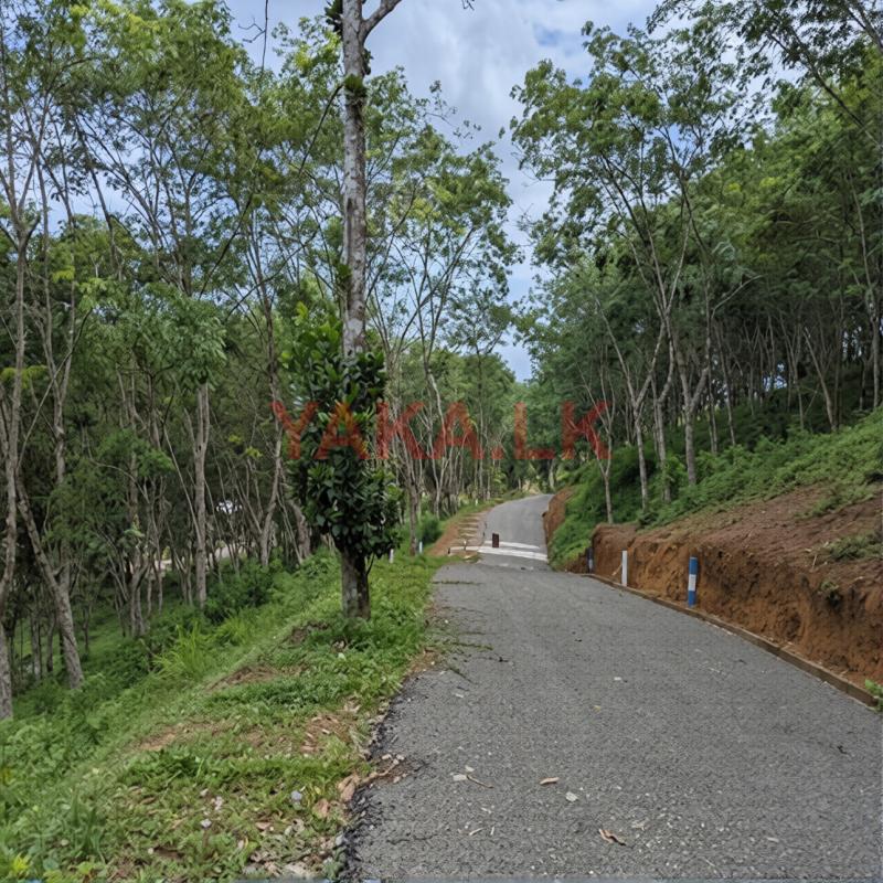 හබරාදුව දික්කුඹුර පාරෙන් නේවාසික භාවිතයට ඉඩමක්