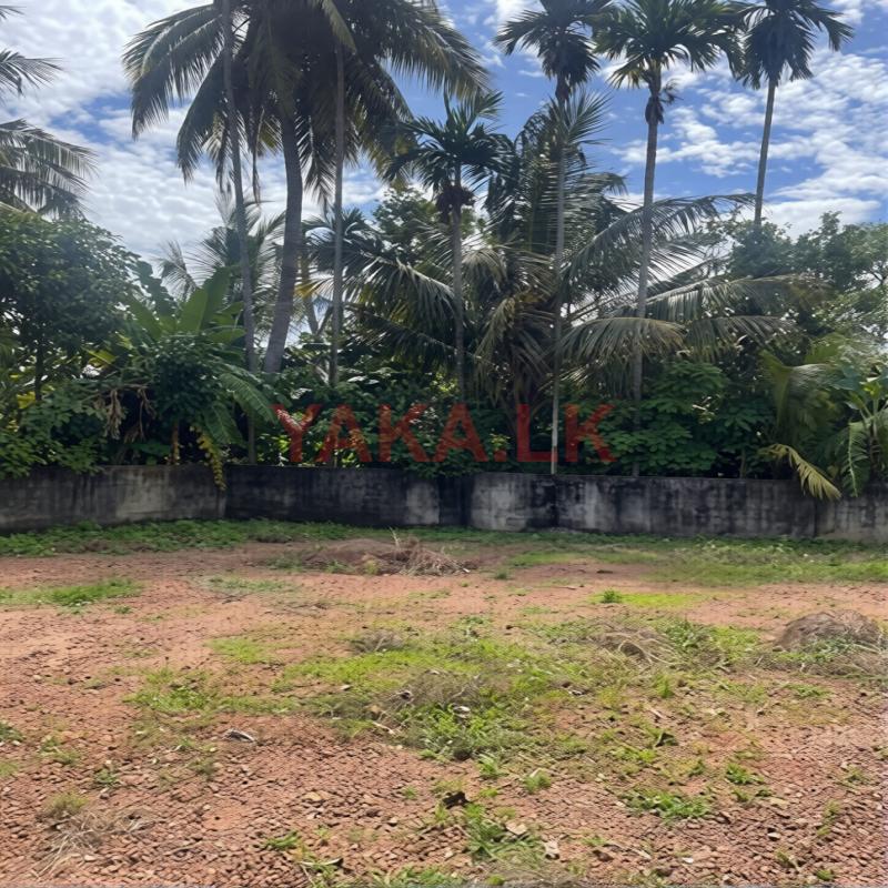 Land for Sale Ja -Ela