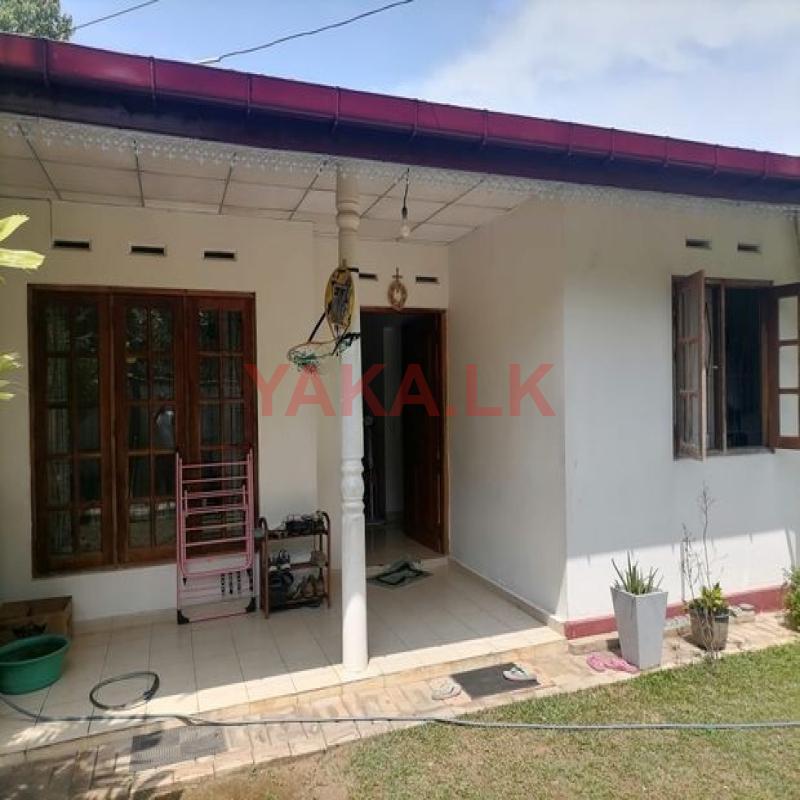 House for Rent Piliyandala