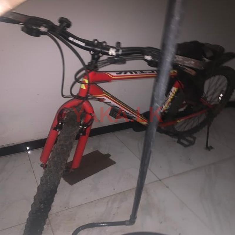 Lumala Footcycle