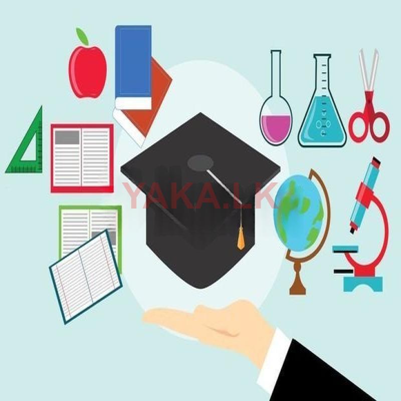 Assignment \Guidance Service
