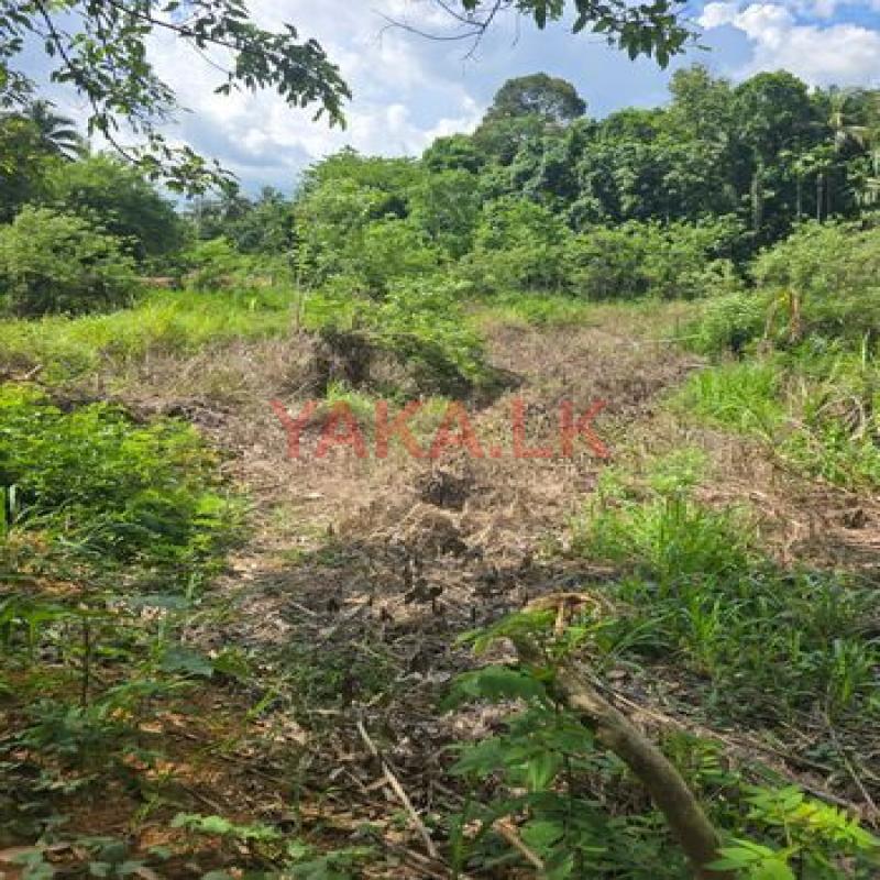 Land for Sale Peradeniya