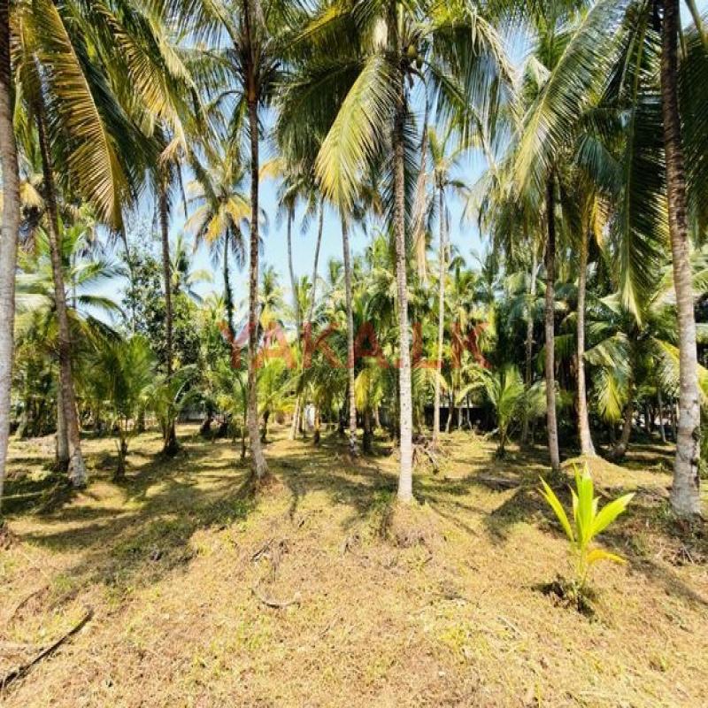 58 P LAND AT 200 M Galle Road Wadduwa Kaluthara