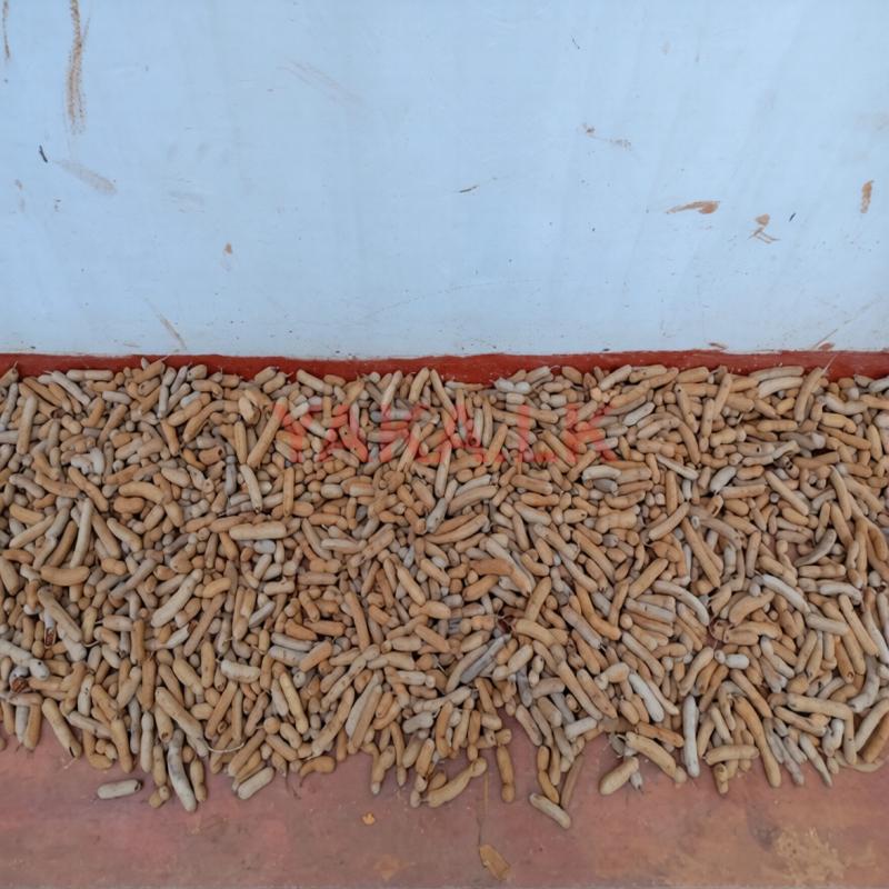 Tamarind