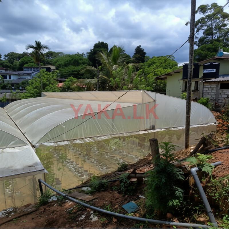 Poly Tunnel