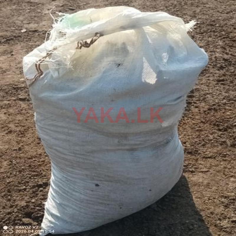 Cow Urea