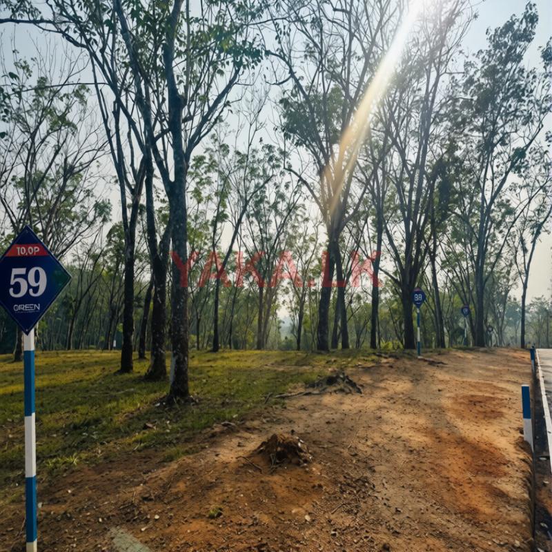 Valuable lands for sale Horana kananvila