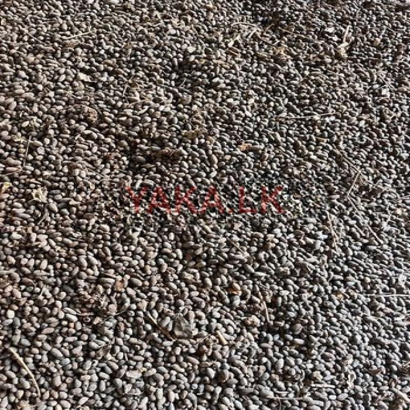 Goat Manure