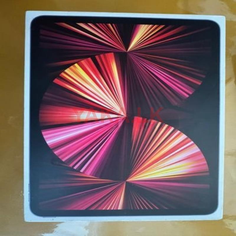 Apple iPad 11