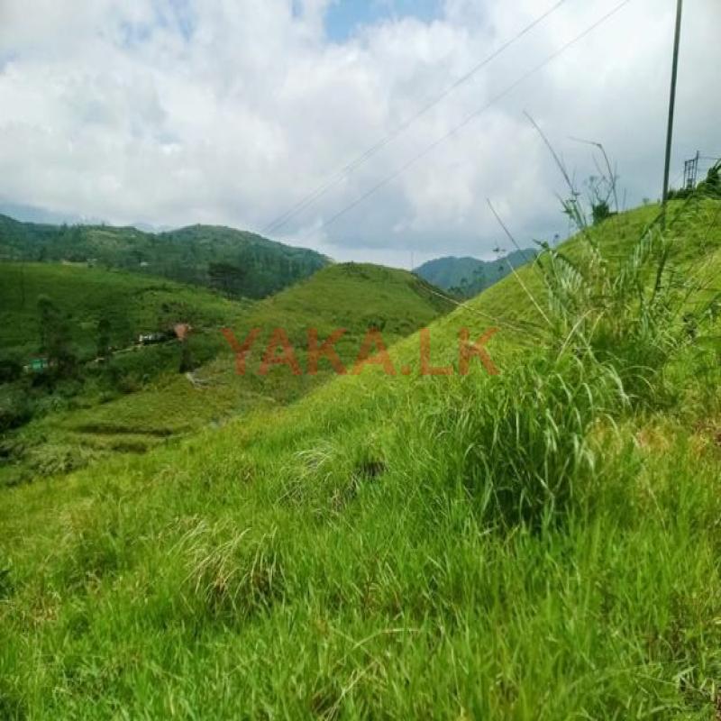 Land for sale in Watawala