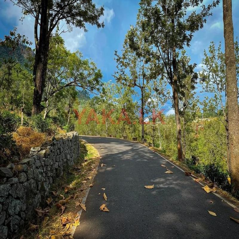 Land for sale in Haputale