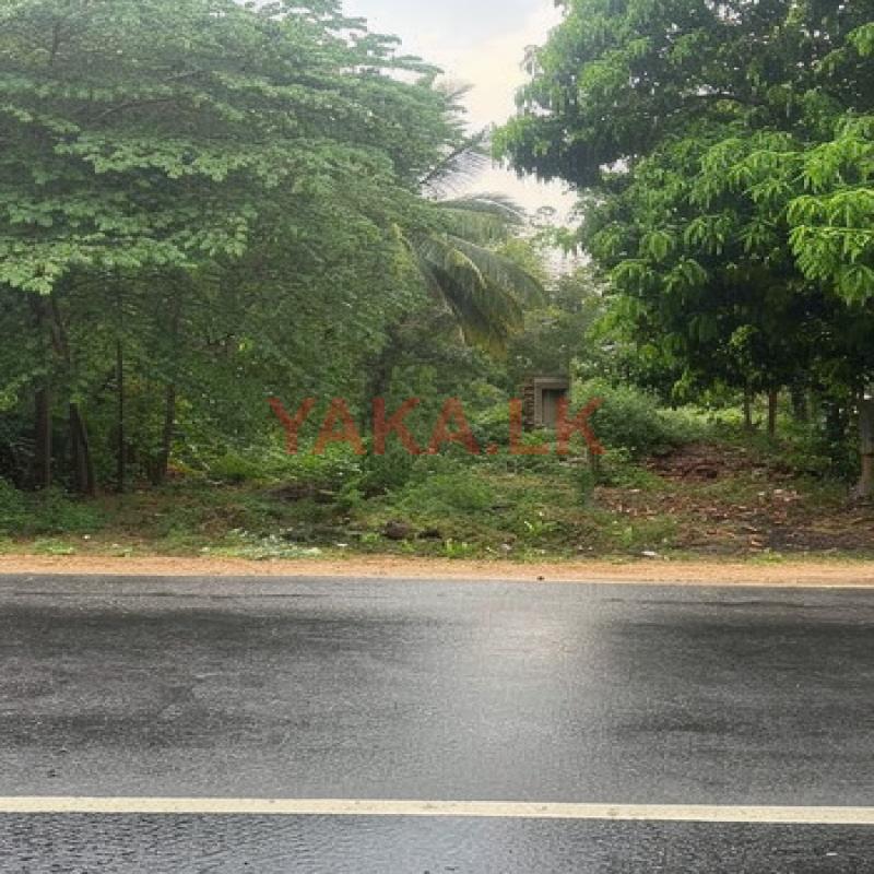 Prime Roadside Land for Sale – Near Lunugamvehera