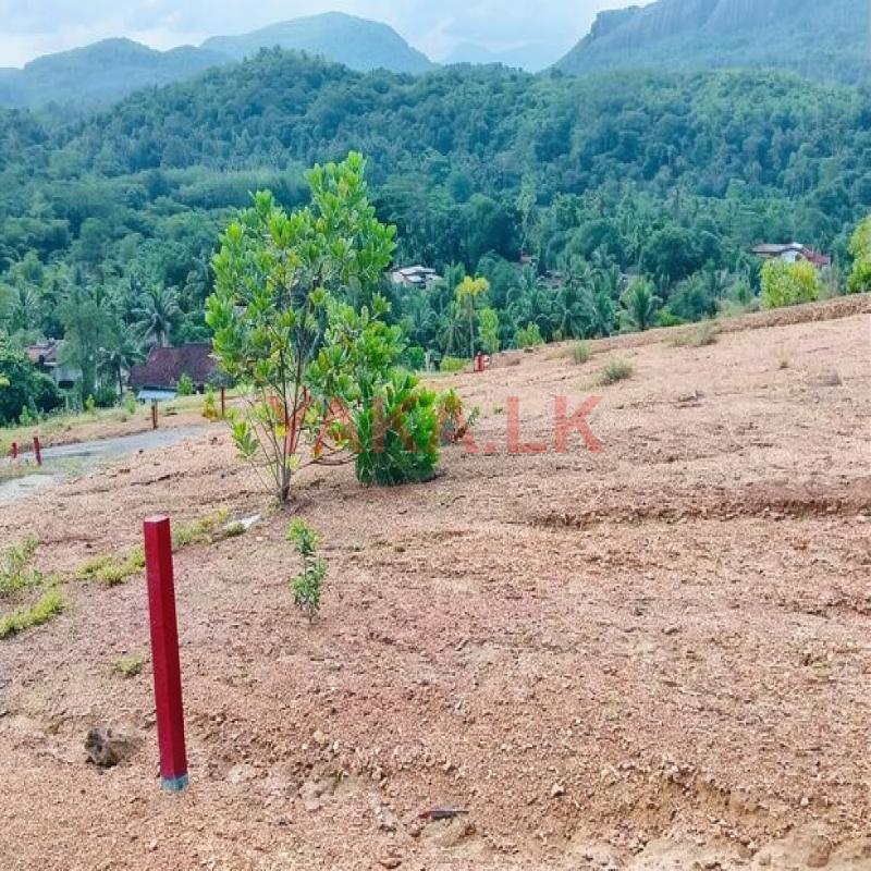 Residential Land Plots For Sale in Avissawella