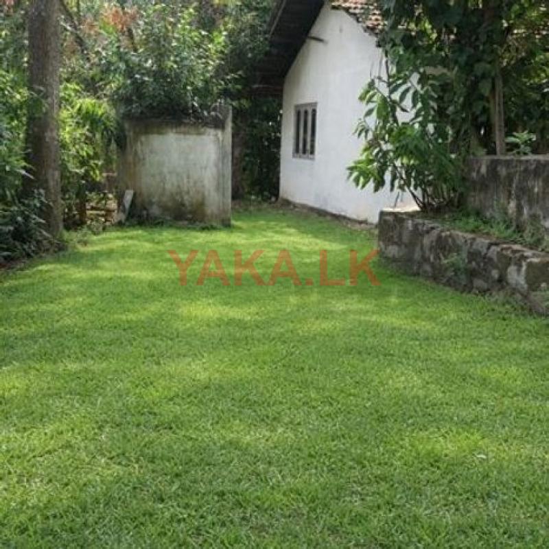 Land with old house for sale in Madapatha, Piliyandala.